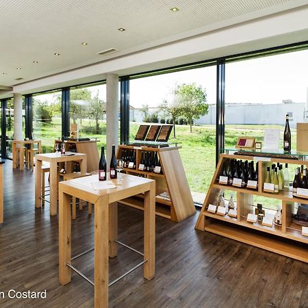 Meyerhof - Bioweingut, Vinothek & Gaestehaus Flonheim Esterno foto