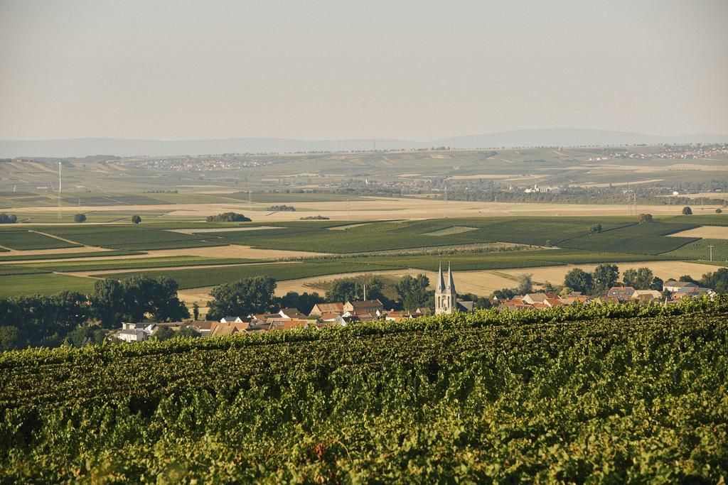 Meyerhof - Bioweingut, Vinothek & Gaestehaus Flonheim Esterno foto