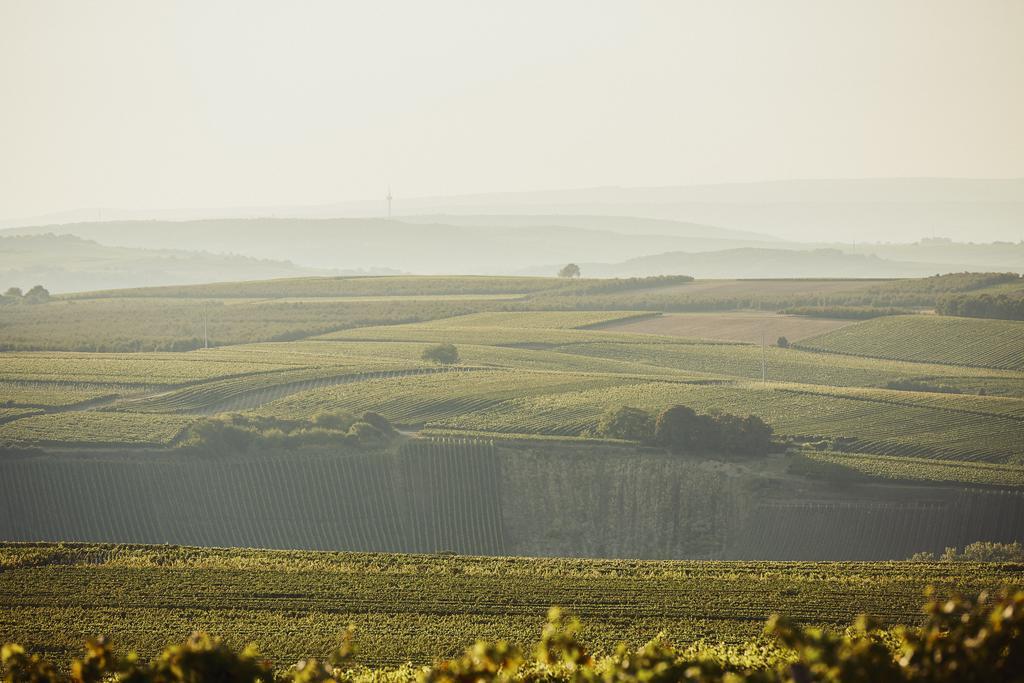 Meyerhof - Bioweingut, Vinothek & Gaestehaus Flonheim Esterno foto