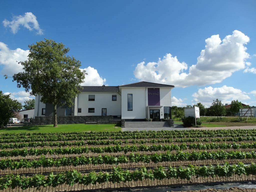 Meyerhof - Bioweingut, Vinothek & Gaestehaus Flonheim Esterno foto